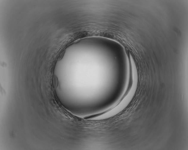 X0000090601153200708071136