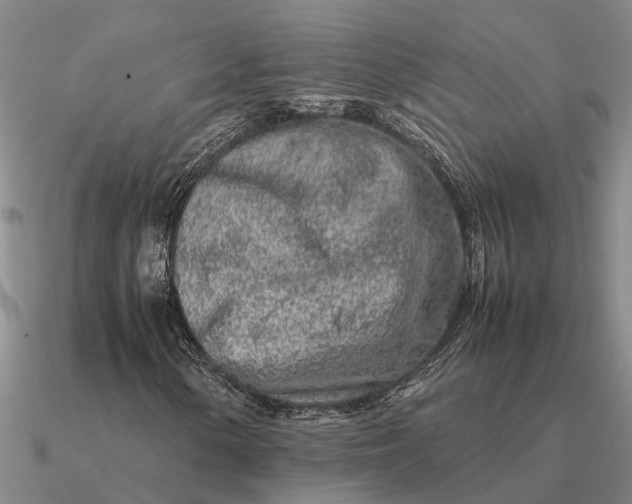 X0000090601154200708071136