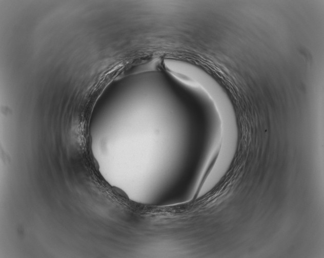 X0000090601156200708071136