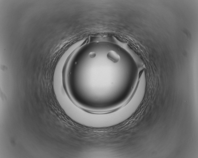 X0000090601157200708071136