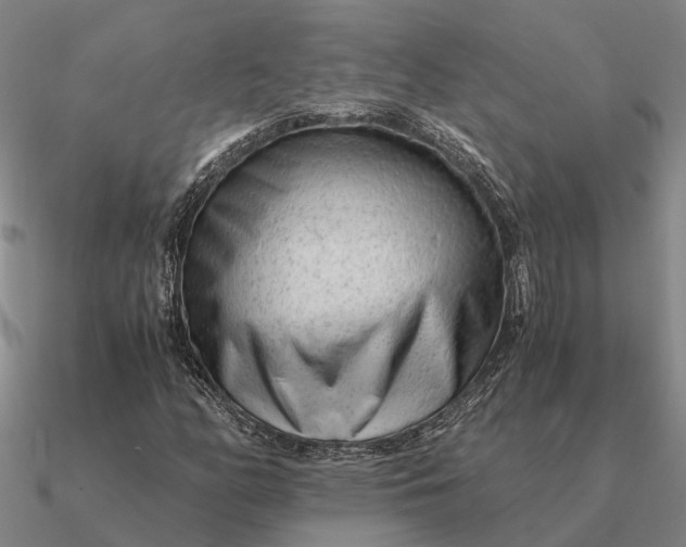 X0000090601158200708071136