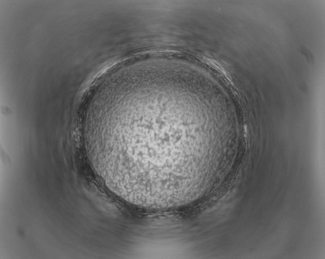 X0000090601159200708071136