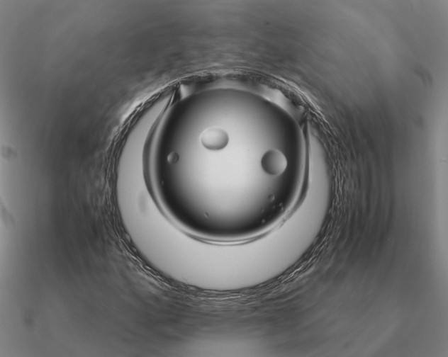 X0000090601160200708071136