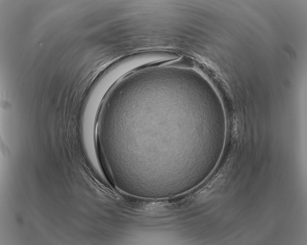 X0000090601161200708071136