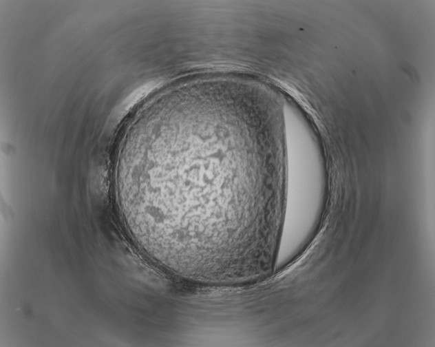 X0000090601163200708071136