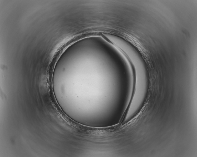 X0000090601164200708071136