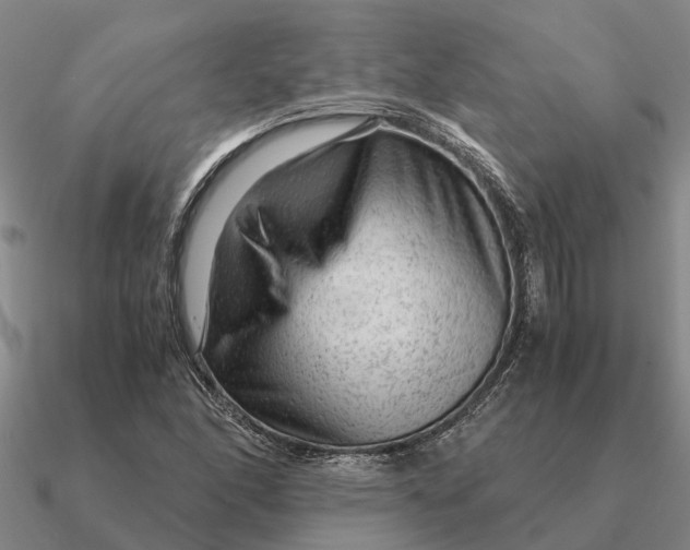 X0000090601166200708071136