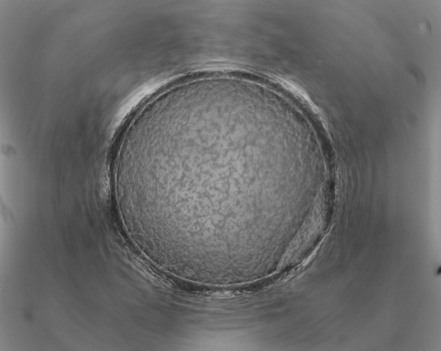 X0000090601167200708071136