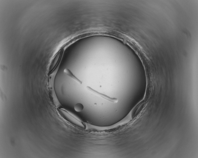 X0000090601168200708071136