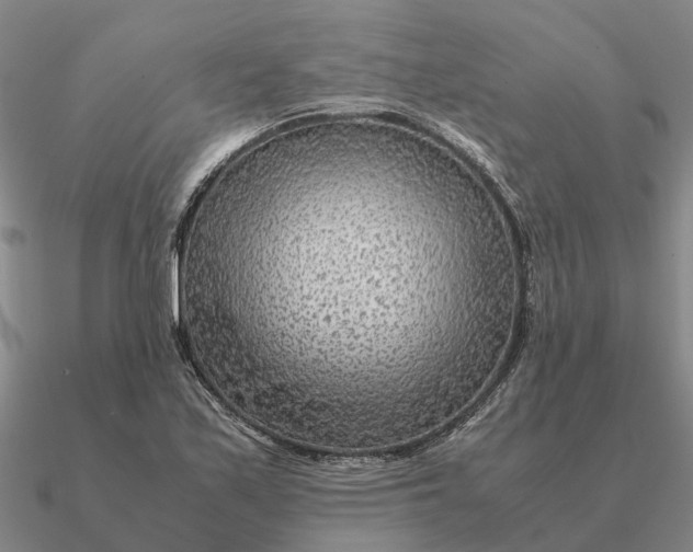 X0000090601171200708071136