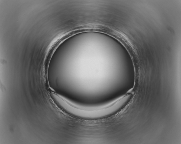 X0000090601172200708071136