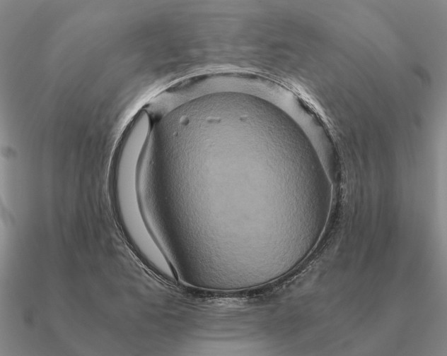 X0000090601173200708071136