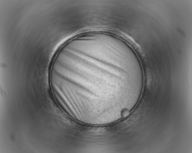 X0000090601174200708071136