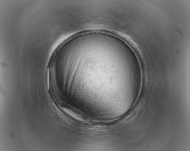 X0000090601175200708071136