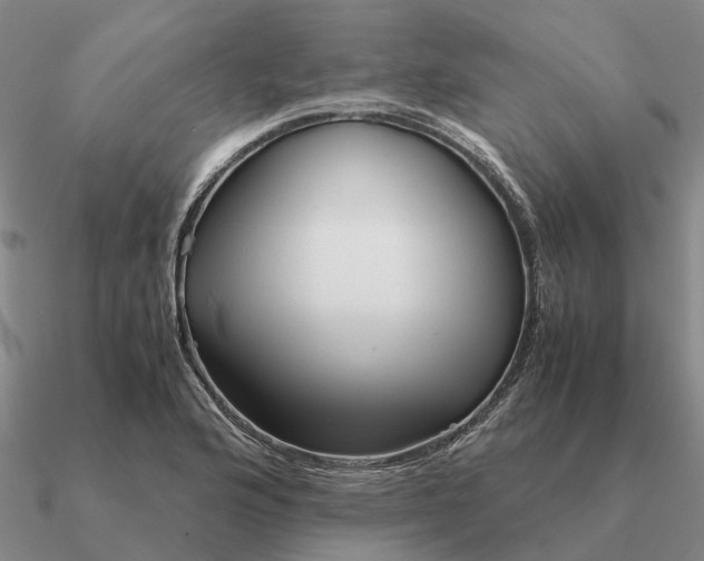 X0000090601176200708071136