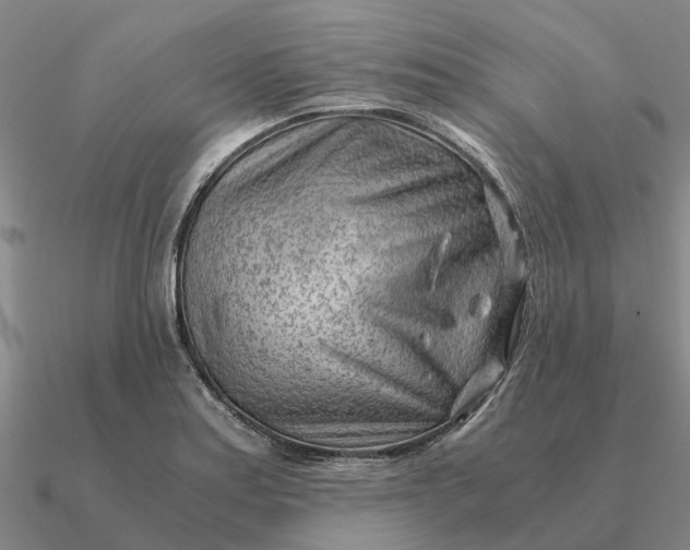 X0000090601179200708071136