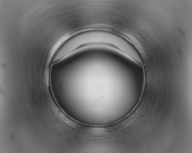 X0000090601180200708071136