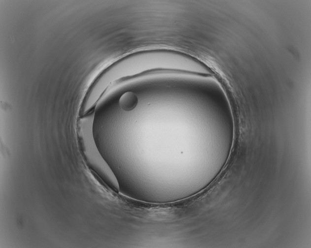 X0000090601181200708071136