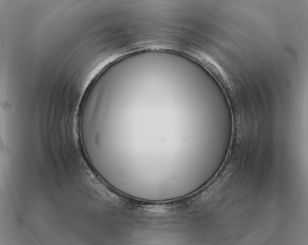 X0000090601182200708071136