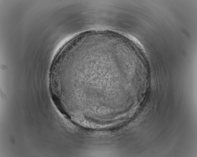 X0000090601183200708071136