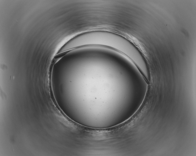 X0000090601184200708071136