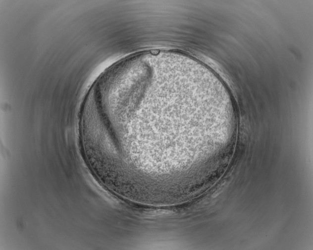 X0000090601187200708071136