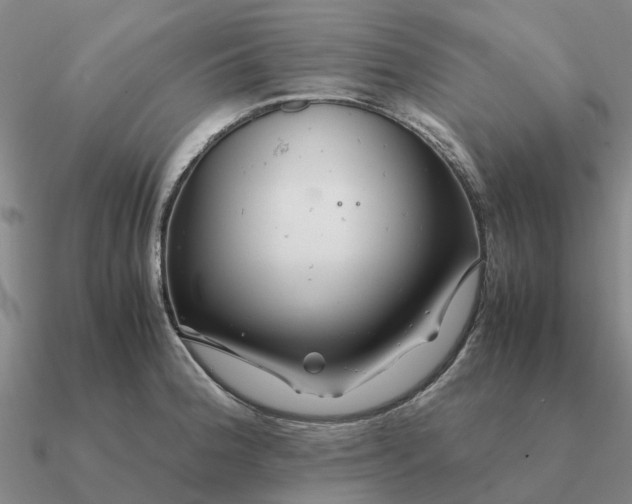 X0000090601188200708071136