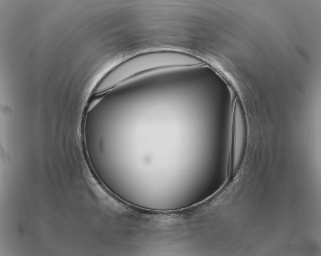 X0000090601189200708071136