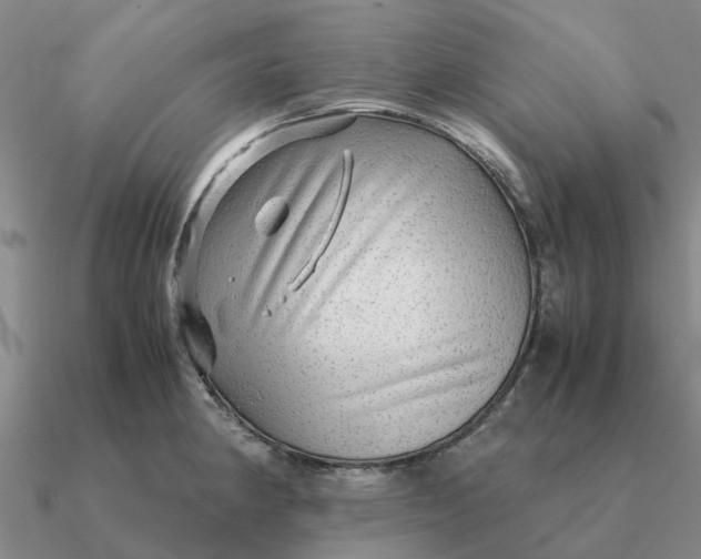 X0000090601190200708071136