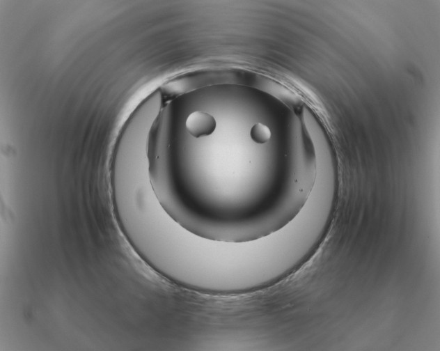 X0000090601192200708071136