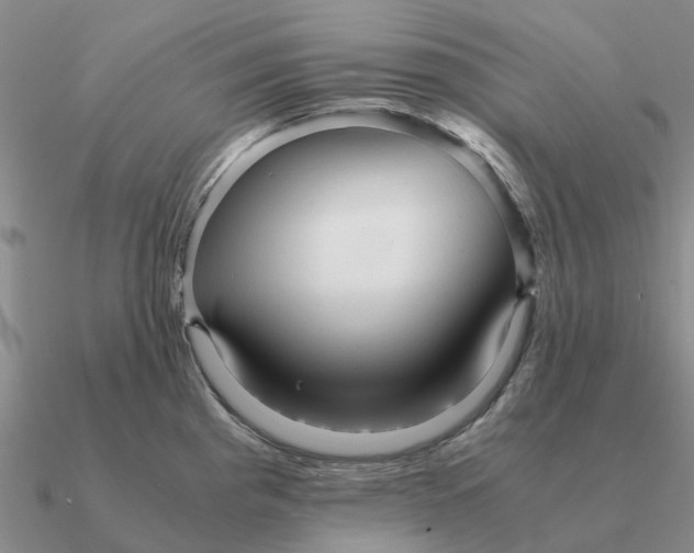 X0000090601193200708071136