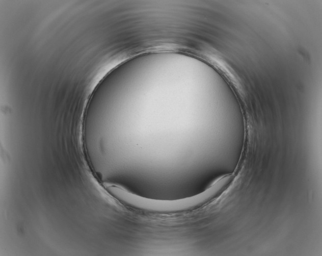 X0000090601194200708071136