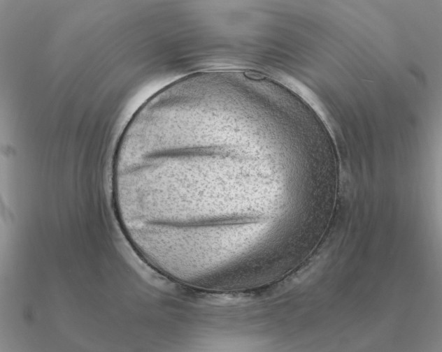 X0000090601195200708071136