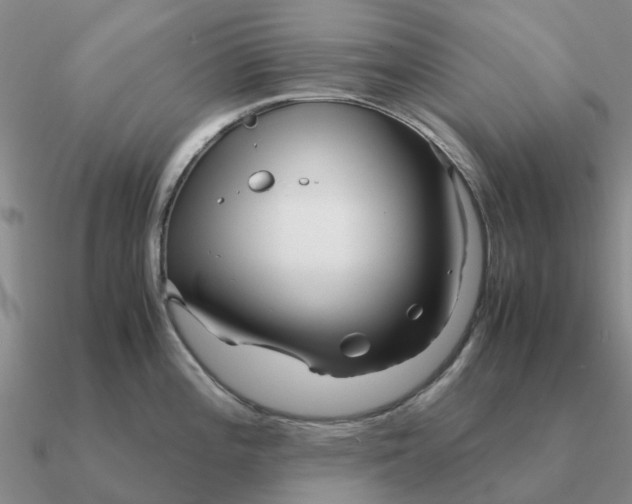 X0000090601196200708071136