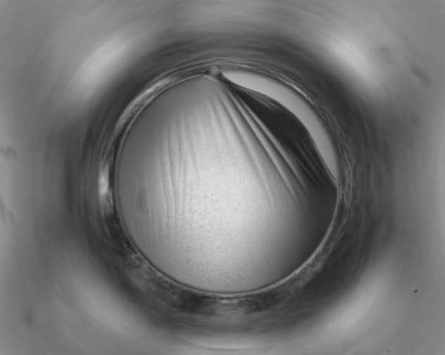 X0000090601198200708071136