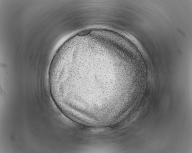 X0000090601199200708071136