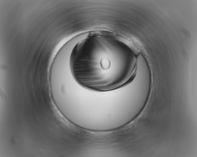 X0000090601200200708071136