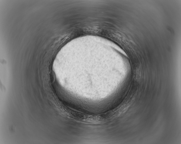 X0000090601201200708071135