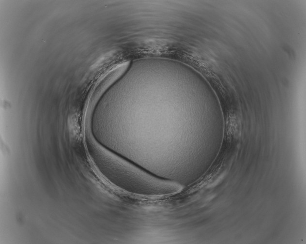 X0000090601202200708071135