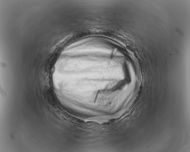 X0000090601205200708071135