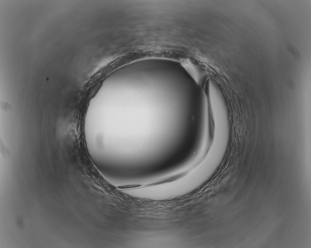 X0000090601206200708071135