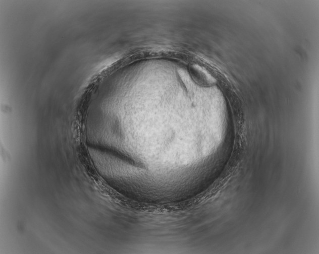 X0000090601207200708071135