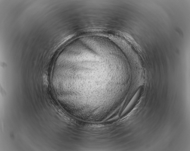 X0000090601209200708071135