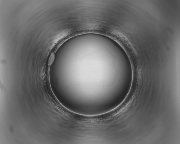 X0000090601210200708071135