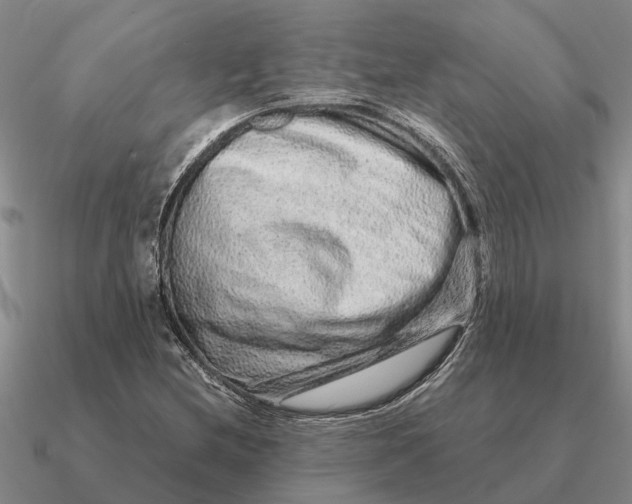 X0000090601212200708071135