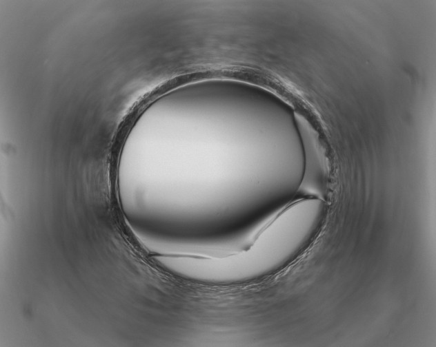 X0000090601214200708071135