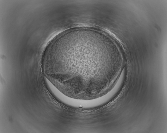 X0000090601215200708071135