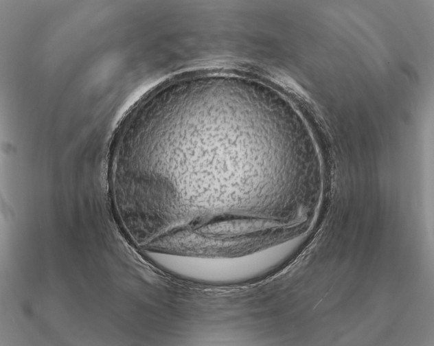 X0000090601216200708071135