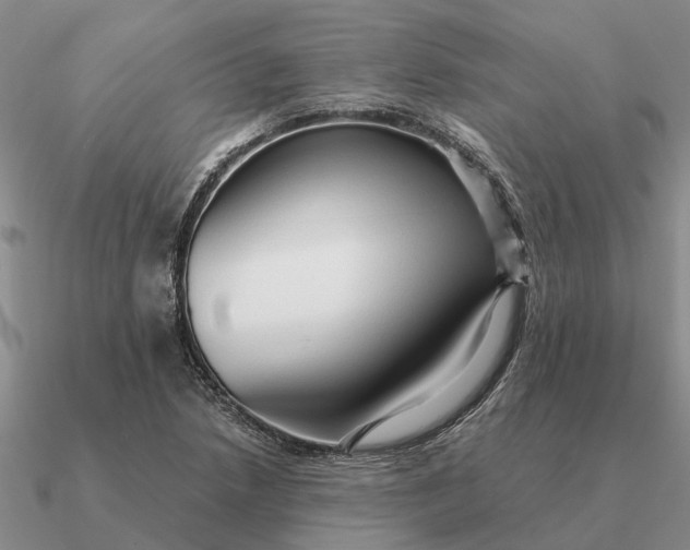 X0000090601218200708071135