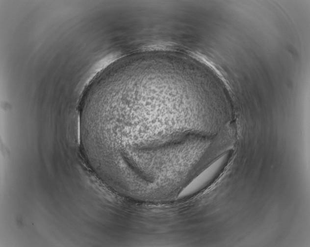 X0000090601219200708071135